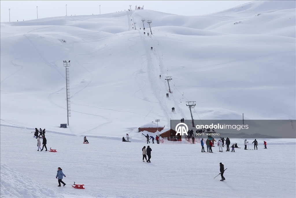 Li navenda xweşiqitandinê ya li Hekariyê bi betlaneya nîvê salê ra qerebalixî çêbû