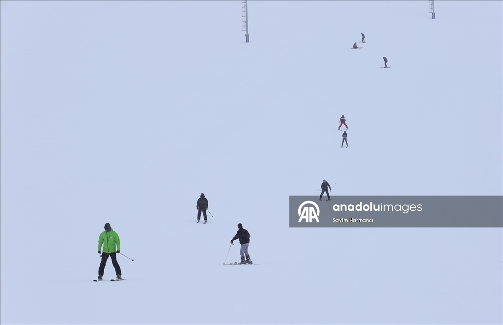 Li navenda xweşiqitandinê ya li Hekariyê bi betlaneya nîvê salê ra qerebalixî çêbû