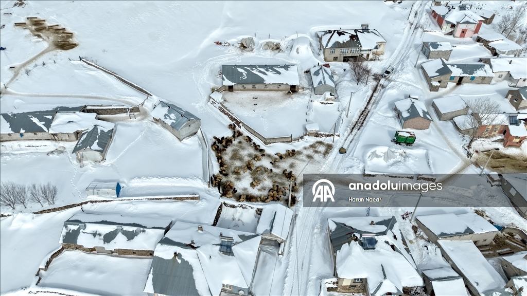 Süphan Dağı eteğindeki karla kaplı köylerde kış şartları yaşamı zorlaştırıyor