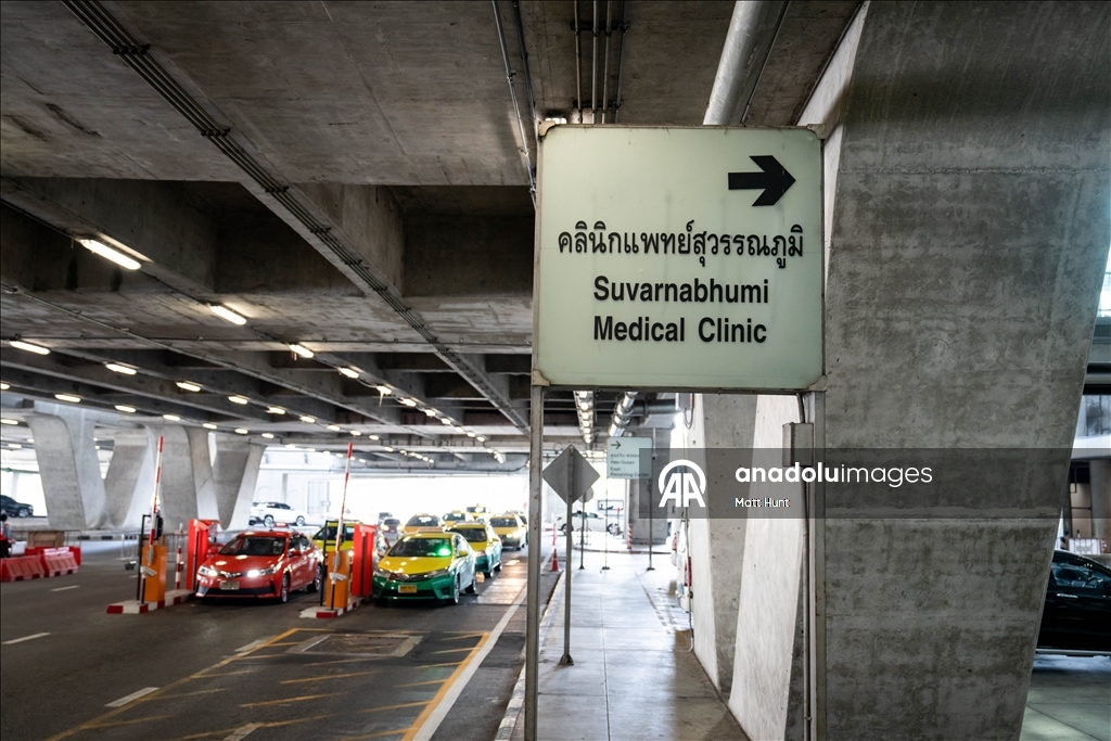 В Таиланде объявлена тревога из-за вируса Нипах: усилен санитарный контроль в аэропортах