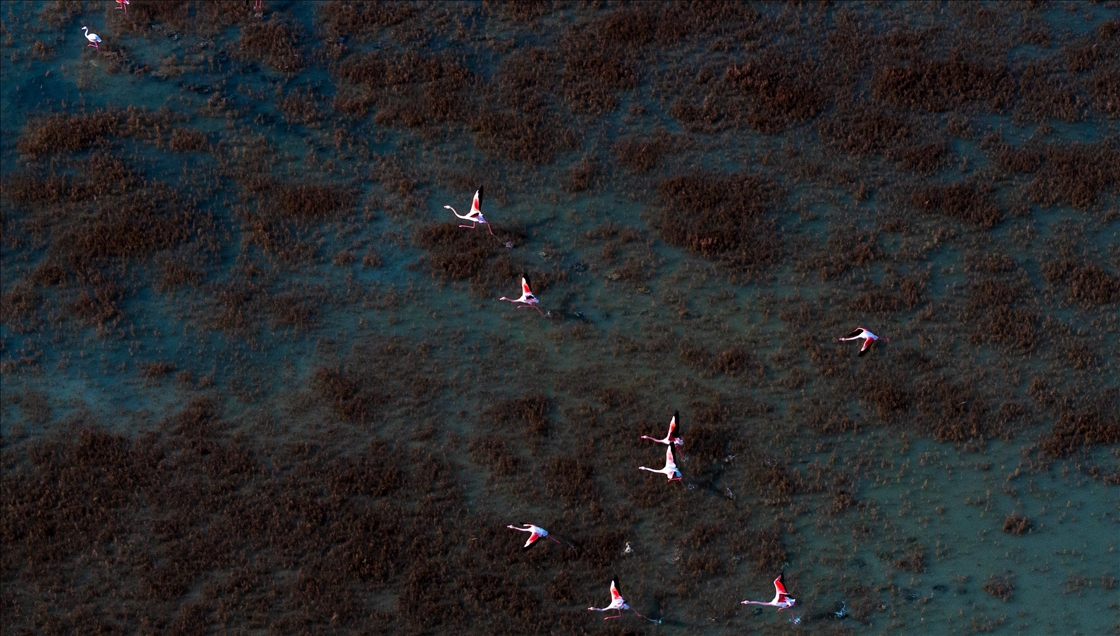 Kuraklık, Gediz Deltası'nda kirliliğin etkisini artırıyor