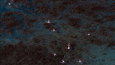 Kuraklık, Gediz Deltası'nda kirliliğin etkisini artırıyor