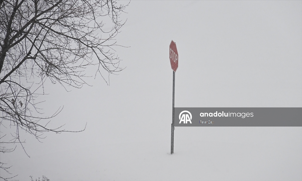 ABD’de Gianna kış fırtınası Charlotte’u etkisi altına aldı