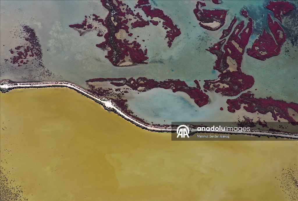 دلتا "بويوك مندريس".. موطن للتنوع البيولوجي غربي تركيا