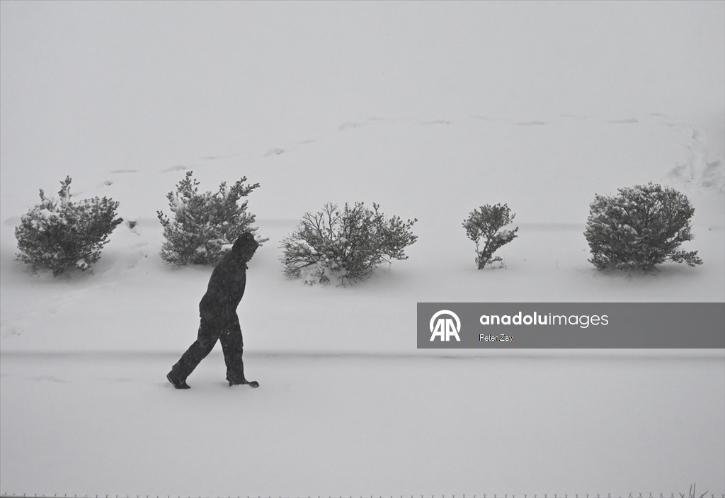 ABD’de Gianna kış fırtınası Charlotte’u etkisi altına aldı