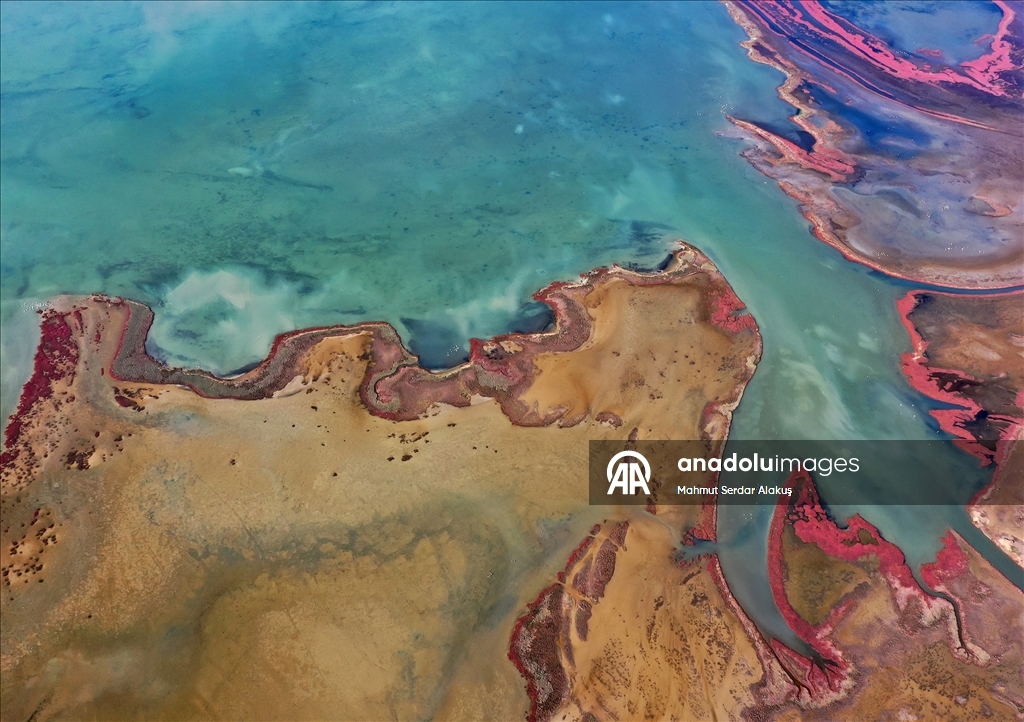 Büyük Menderes Deltası, sulak alanlarıyla yaban hayatına can veriyor