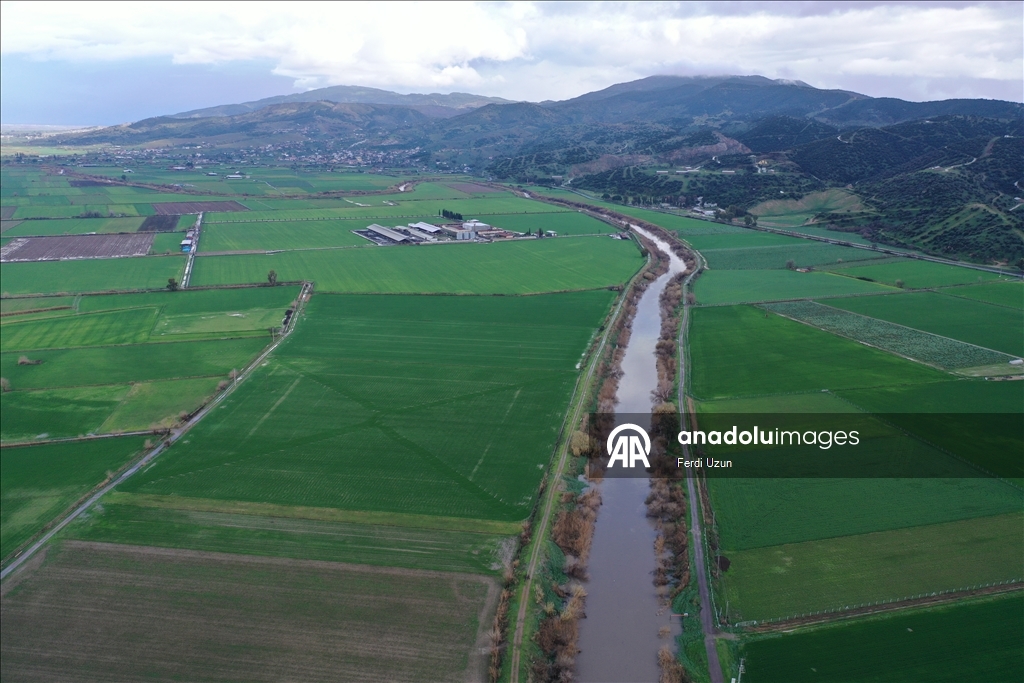 Büyük Menderes Nehri yağmur sularıyla güçlendi
