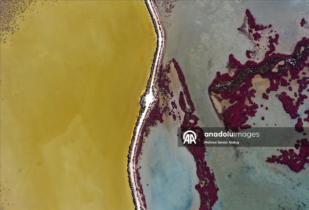 دلتا "بويوك مندريس".. موطن للتنوع البيولوجي غربي تركيا