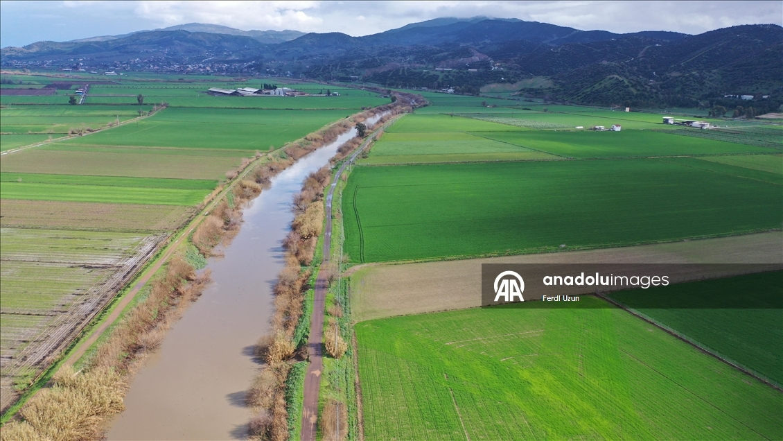 Büyük Menderes Nehri yağmur sularıyla güçlendi