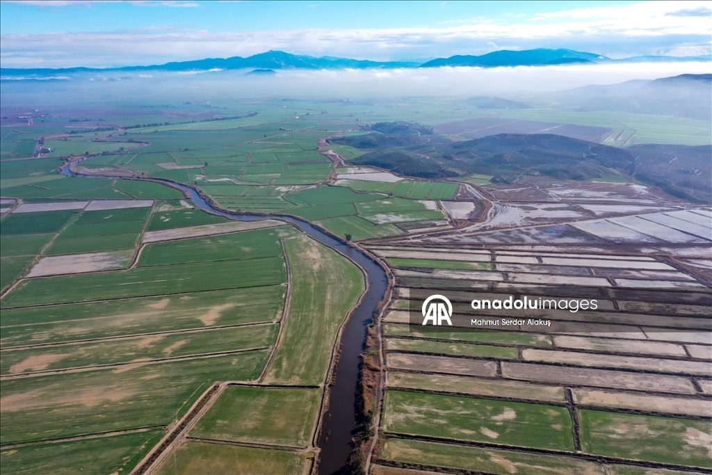 دلتا "بويوك مندريس".. موطن للتنوع البيولوجي غربي تركيا