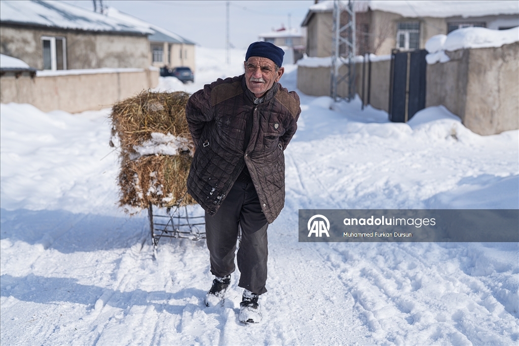Ağrı'nın Hamur ve Taşlıçay ilçelerine bağlı köylerde yoğun kar yağışı 