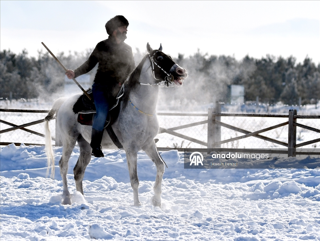 В Карсе растет интерес к джириту — важному элементу туристического направления