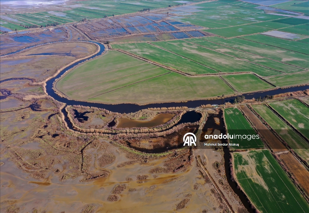 دلتا "بويوك مندريس".. موطن للتنوع البيولوجي غربي تركيا
