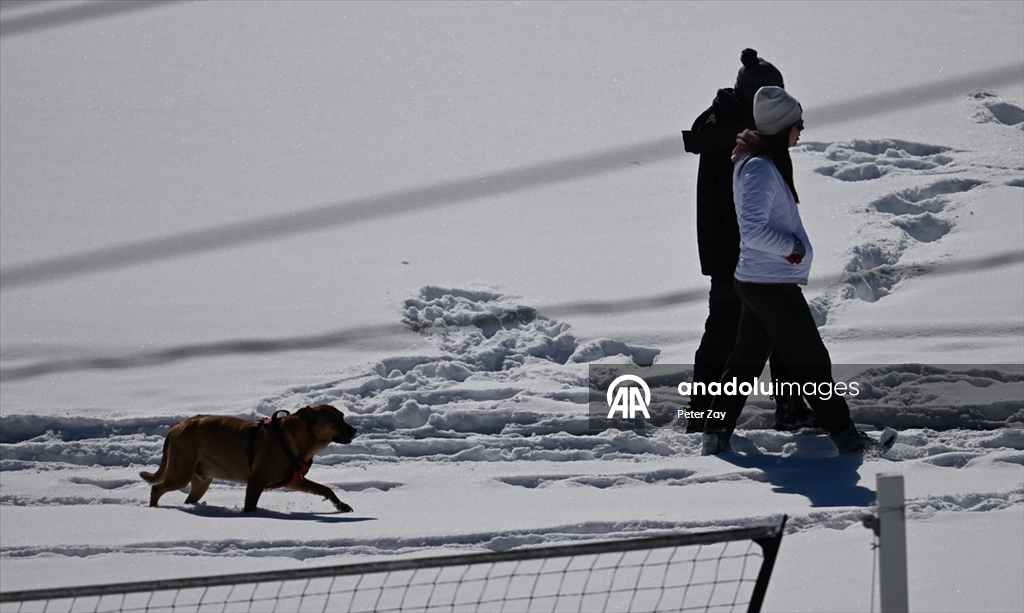 ABD’de Gianna kış fırtınası Charlotte’u etkisi altına aldı