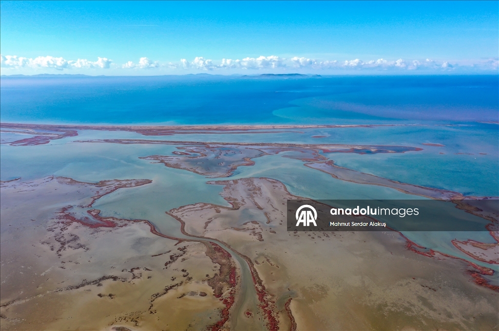 دلتا "بويوك مندريس".. موطن للتنوع البيولوجي غربي تركيا