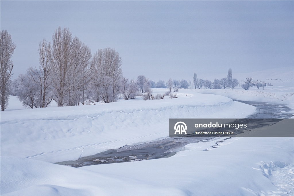 Ağrı'nın Hamur ve Taşlıçay ilçelerine bağlı köylerde yoğun kar yağışı 