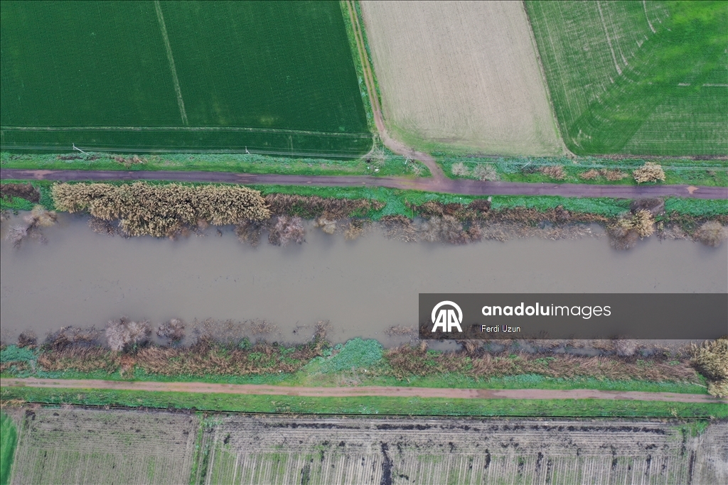 Büyük Menderes Nehri yağmur sularıyla güçlendi