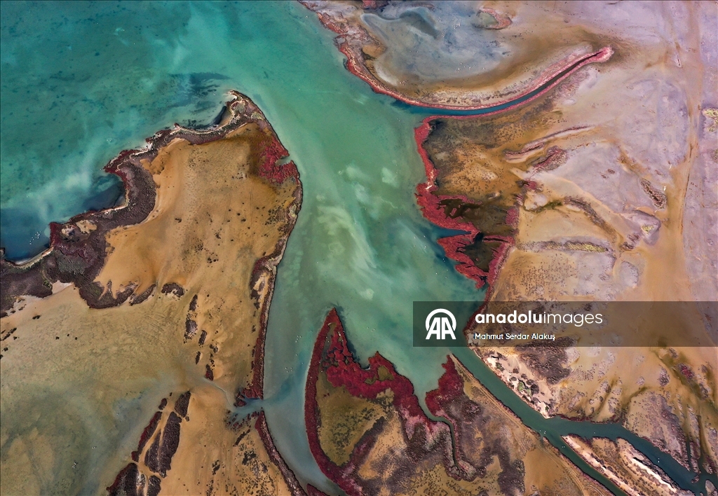 دلتا "بويوك مندريس".. موطن للتنوع البيولوجي غربي تركيا