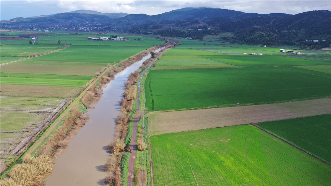 Büyük Menderes Nehri yağmur sularıyla güçlendi