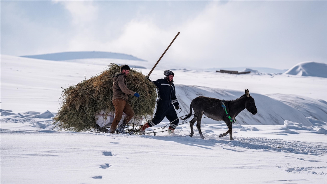 Ağrı'nın Hamur ve Taşlıçay ilçelerine bağlı köylerde yoğun kar yağışı