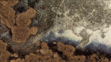 Ankara'nın sulak alanlarında kuraklık