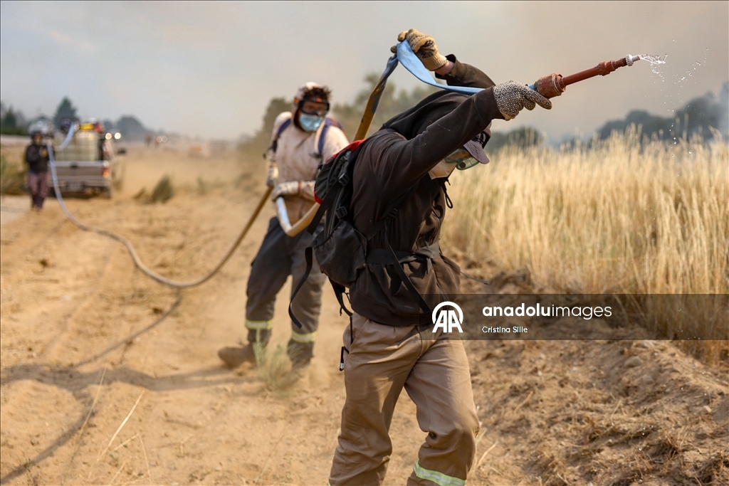 В аргентинской провинции Чубут продолжается борьба с лесными пожарами