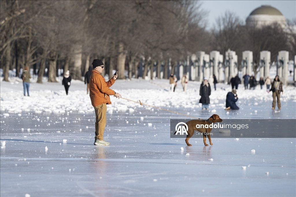 Аномальные морозы в Вашингтоне превратились в развлечение