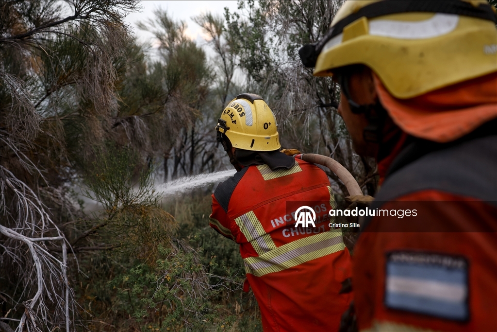 В аргентинской провинции Чубут продолжается борьба с лесными пожарами