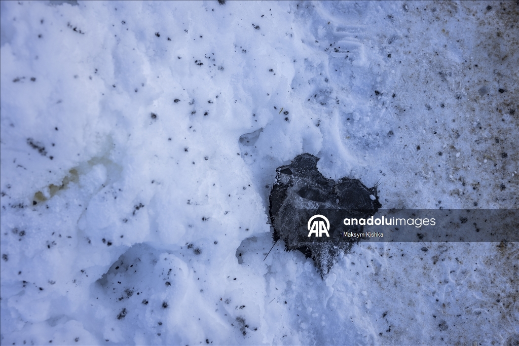 أوكرانيا.. قصف روسي يلحق أضراراً بمحطة سكة حديد في منطقة "سومي"