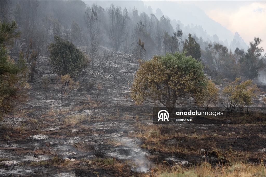 В аргентинской провинции Чубут продолжается борьба с лесными пожарами