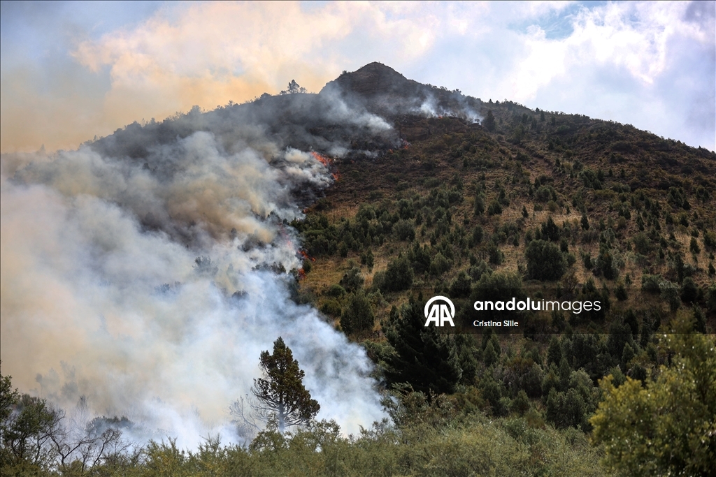 В аргентинской провинции Чубут продолжается борьба с лесными пожарами