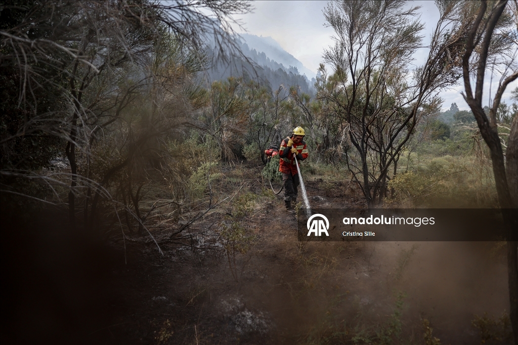 В аргентинской провинции Чубут продолжается борьба с лесными пожарами