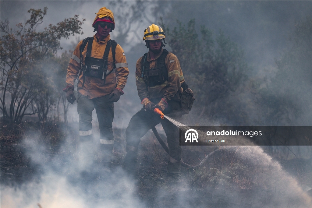 В аргентинской провинции Чубут продолжается борьба с лесными пожарами