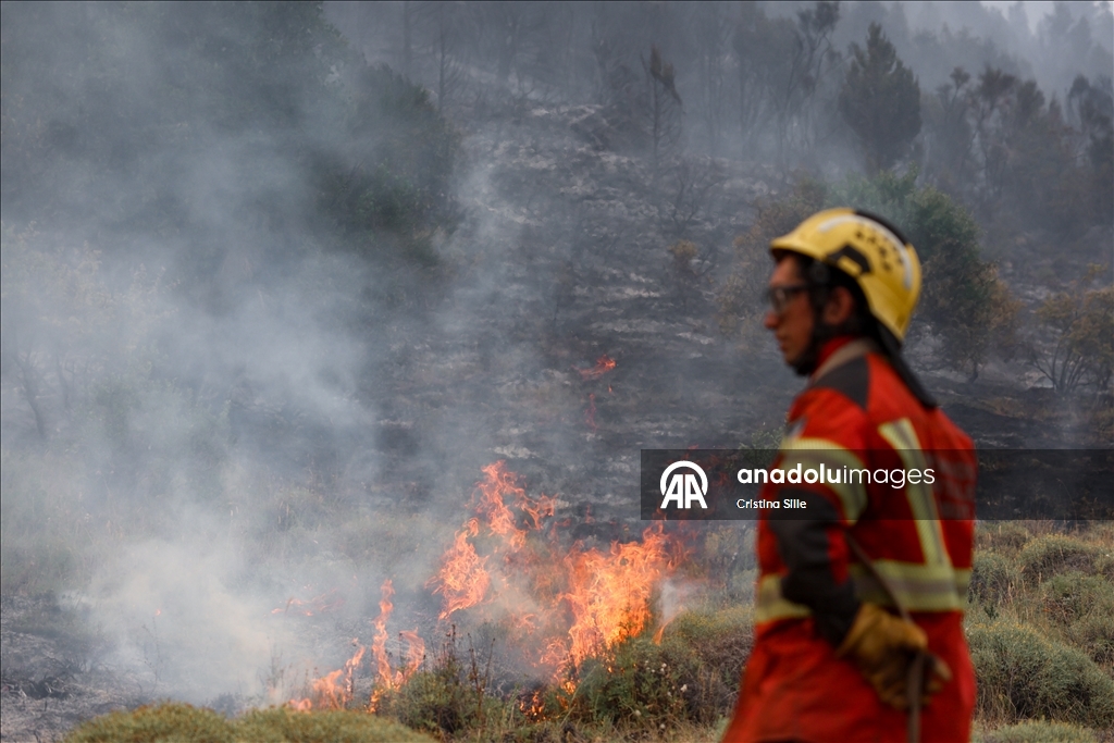 В аргентинской провинции Чубут продолжается борьба с лесными пожарами