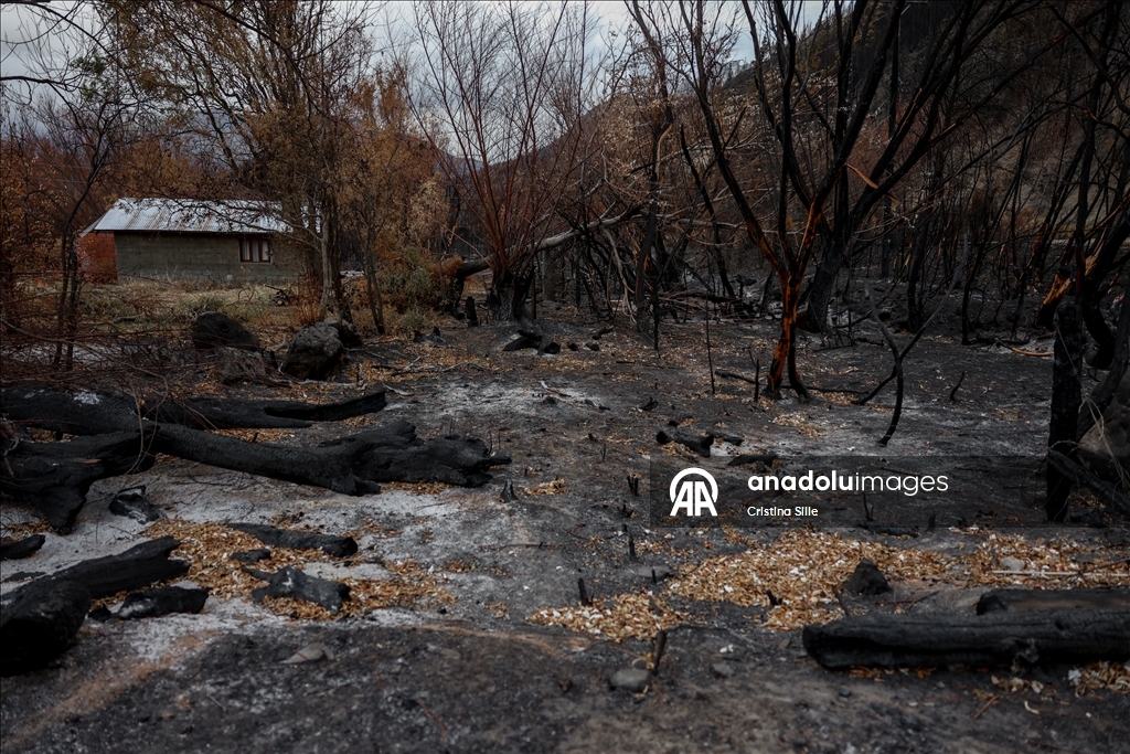 В аргентинской провинции Чубут продолжается борьба с лесными пожарами