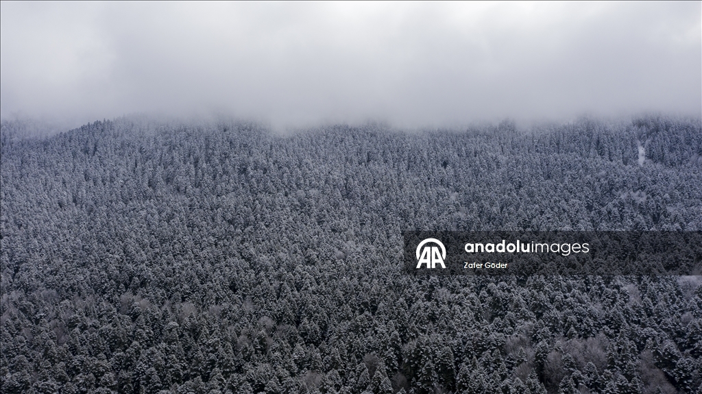 Golcuk Nature Park after snowfall in Turkiye's Bolu