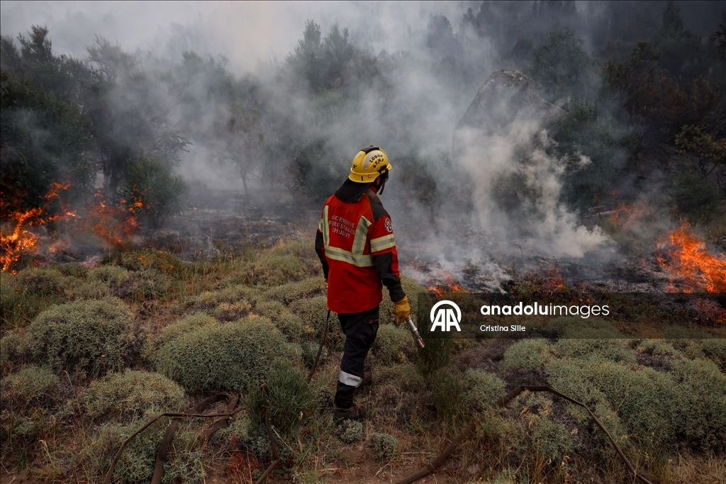 В аргентинской провинции Чубут продолжается борьба с лесными пожарами