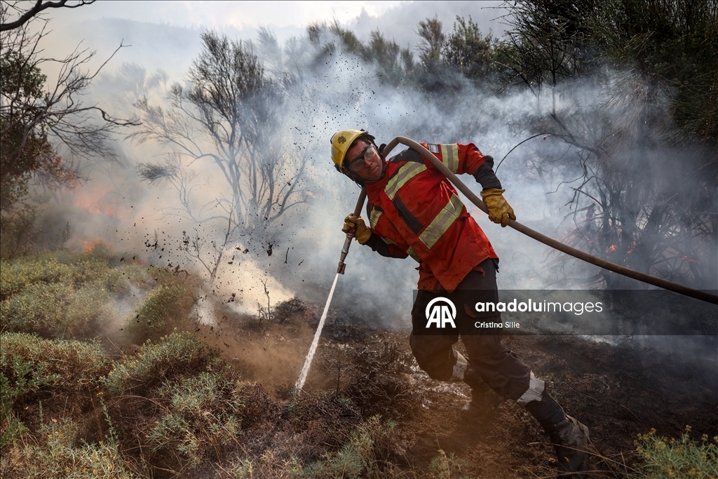 В аргентинской провинции Чубут продолжается борьба с лесными пожарами