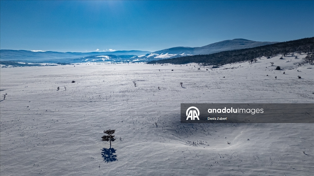 Bosna Hersek’te Vrtoce köyü beyaza büründü