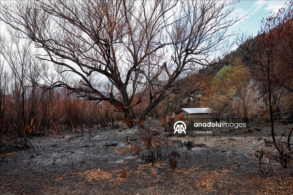 В аргентинской провинции Чубут продолжается борьба с лесными пожарами