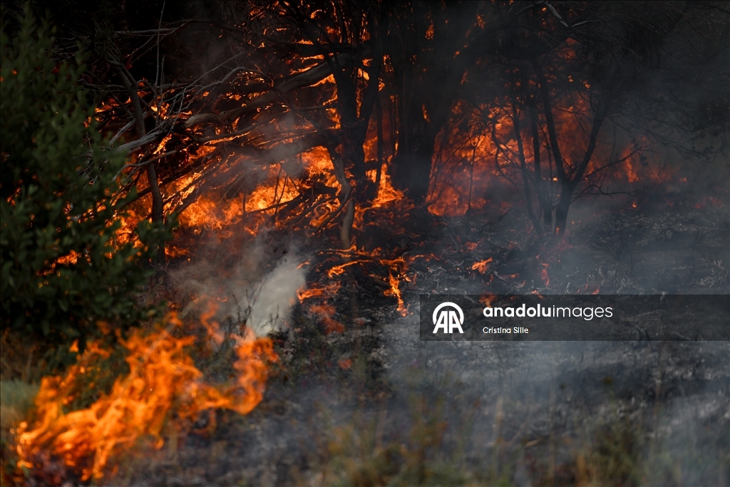 В аргентинской провинции Чубут продолжается борьба с лесными пожарами