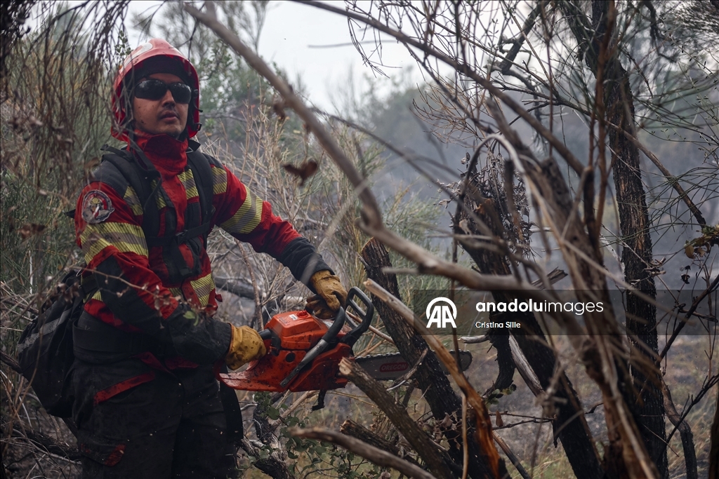 В аргентинской провинции Чубут продолжается борьба с лесными пожарами