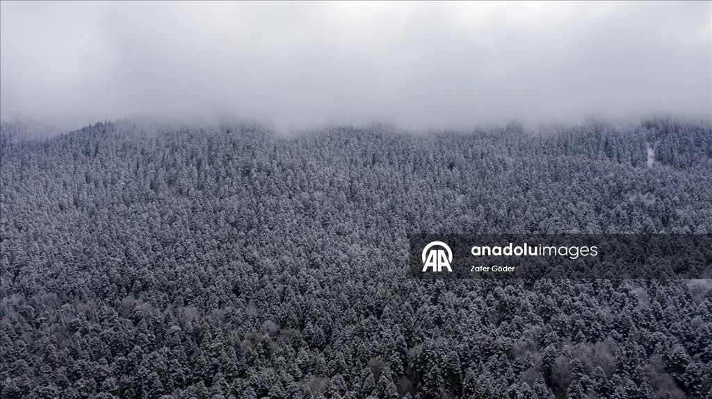 Kar yağışının ardından Gölcük Tabiat Parkı'nda kartpostal manzaralar oluştu