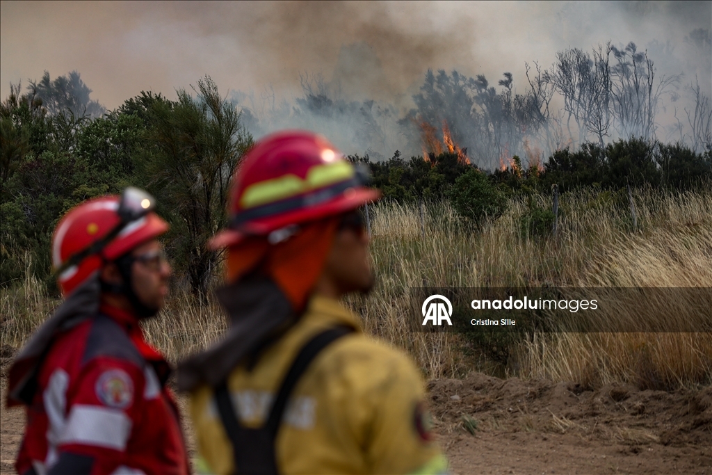 В аргентинской провинции Чубут продолжается борьба с лесными пожарами