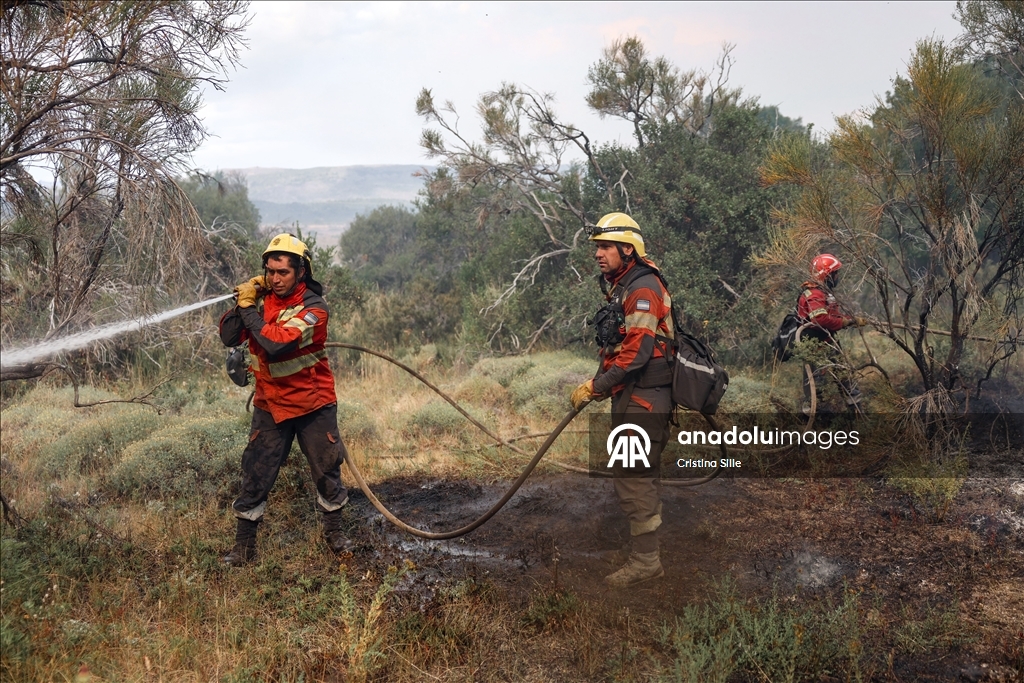 В аргентинской провинции Чубут продолжается борьба с лесными пожарами