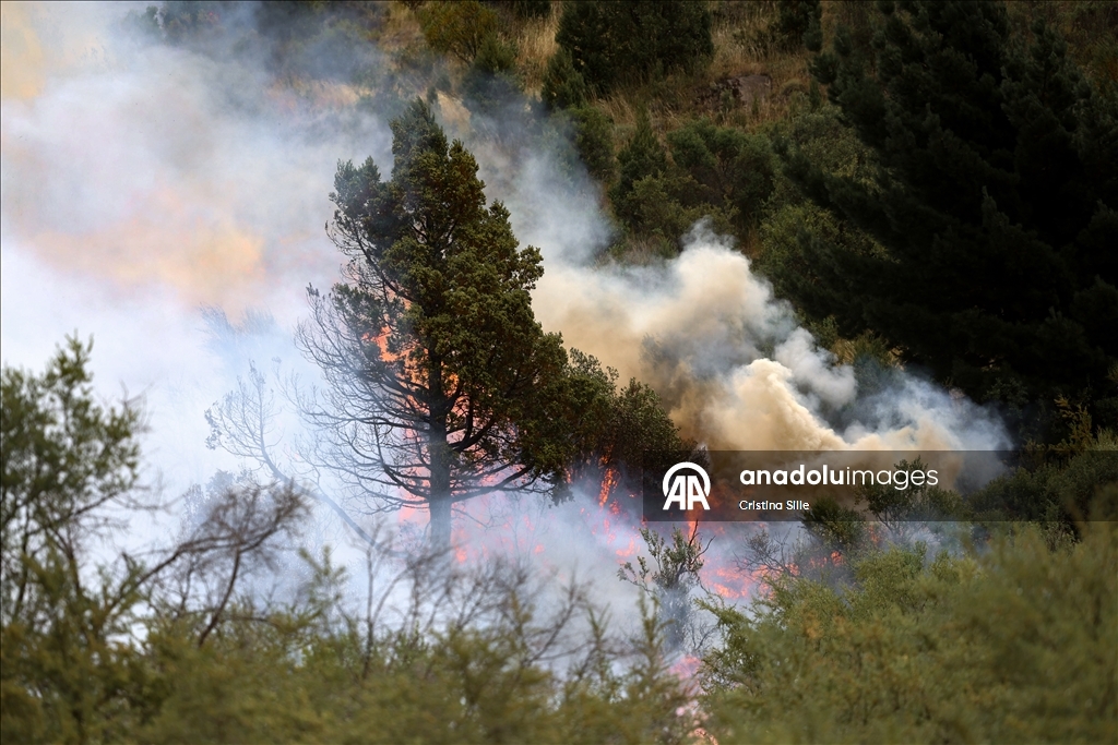 В аргентинской провинции Чубут продолжается борьба с лесными пожарами