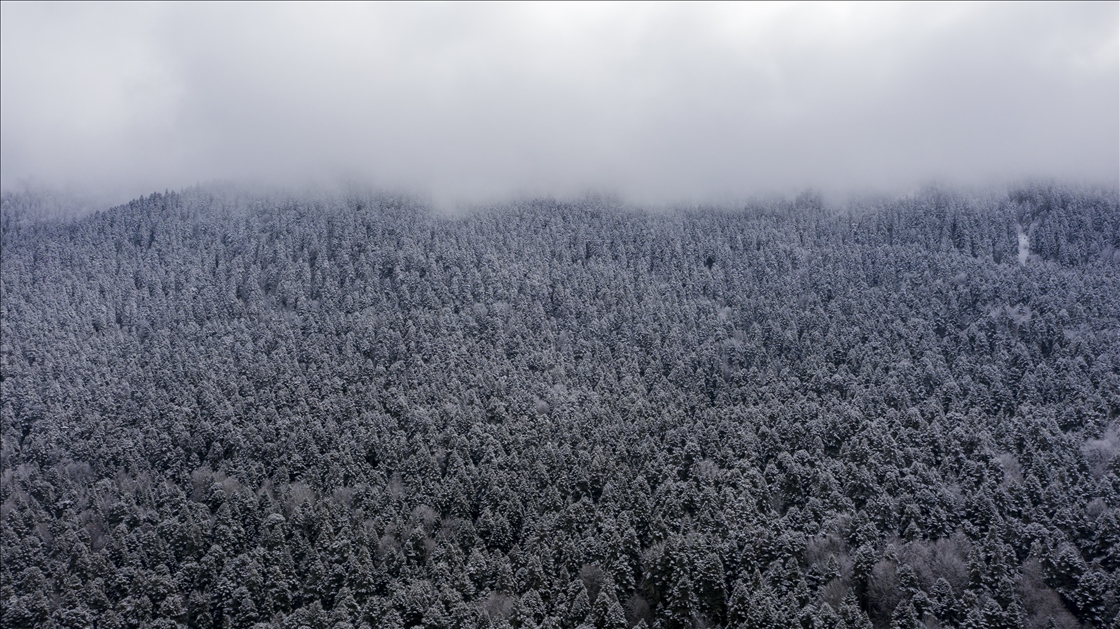 Golcuk Nature Park after snowfall in Turkiye's Bolu