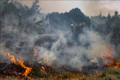 В аргентинской провинции Чубут продолжается борьба с лесными пожарами