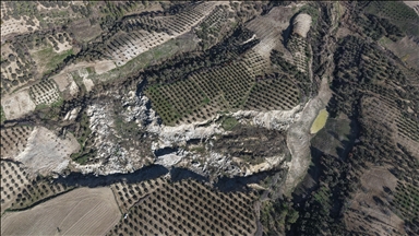 Hatay'da 400 metrelik fay yarığı oluşan zeytinlikte "toprak kayması" sürebilir uyarısı