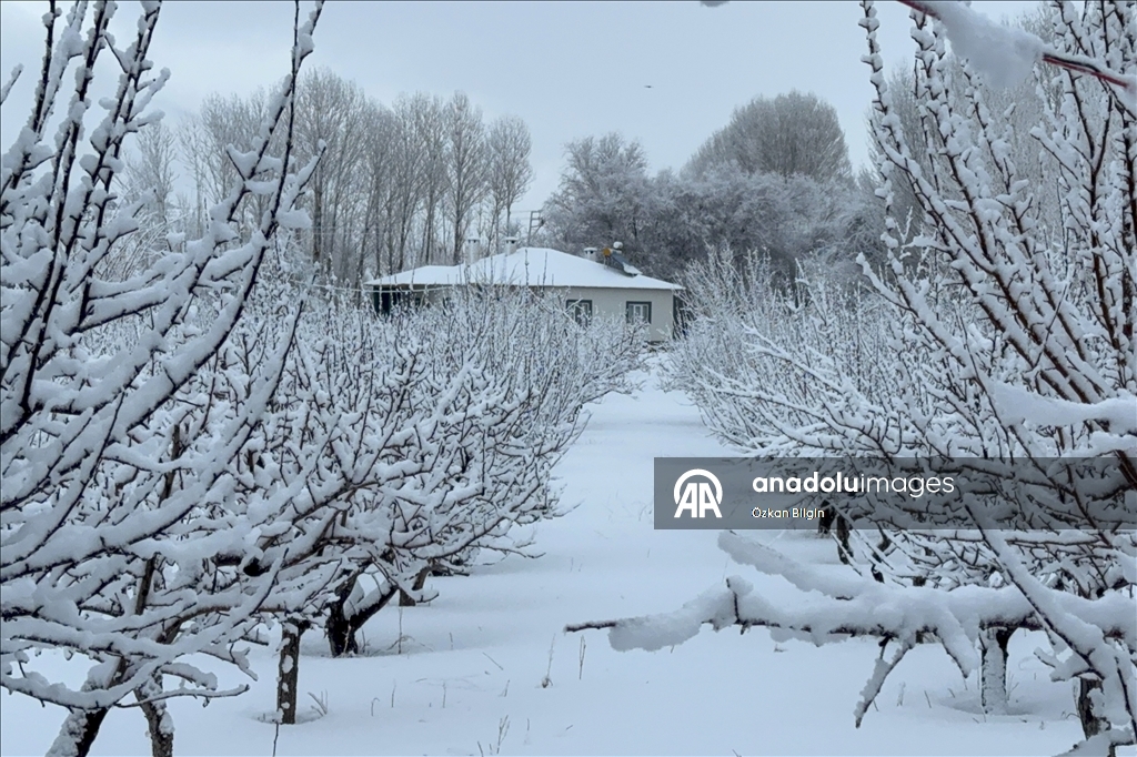 Van'da kar yağışı etkili oldu